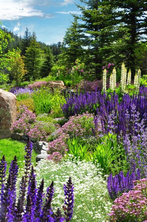 Colorado Perennial And Annual Gardens Designscapes Colorado