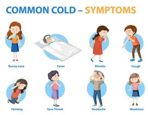 Symptoms of a viral infection involving the upper respiratory tract and characterized by congestion of the nasal mucous membrane drugs used to treat cold symptoms. Free Vector | Common cold symptoms cartoon style infographic