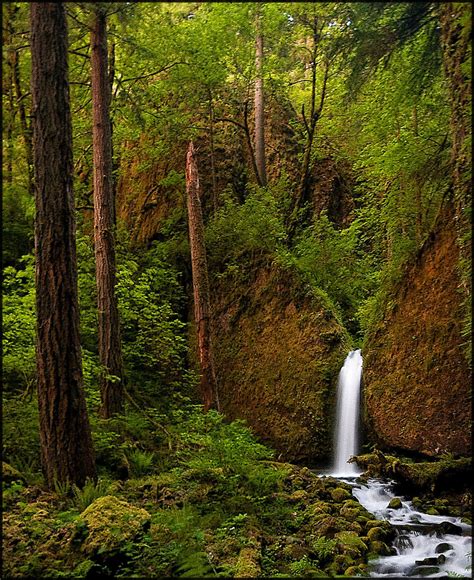 Ruckel Creek Falls Photoscliffzener I Flickr