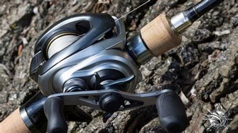 Best Baitcasting Reel For Saltwater Review 2023 TOP 7 CHOICES