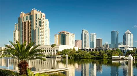The Best Hotels To Book In Tampa Florida