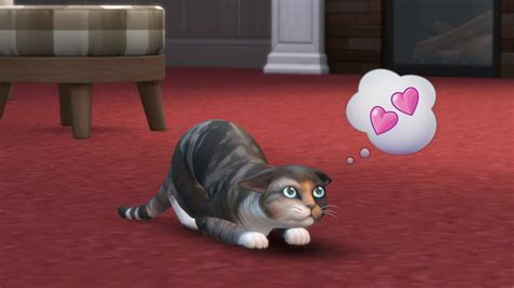 The Sims 4 Cats And Dogs Unique Personalities For Your Sim Pets