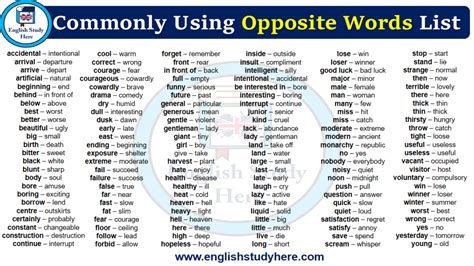 180 Antonym Words List English Study Here Opposite Words Opposite