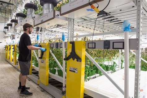 Vertical Grow Racks For Cannabis And Microgreens Bradford Systems