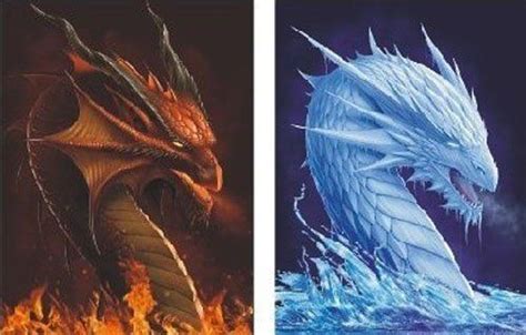 Fire And Ice Dragon Fantasy Dragon Fire And Ice Dragons Ice Dragon