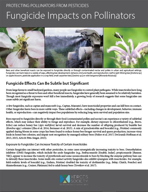 Protecting Pollinators From Pesticides Fungicide Impacts On