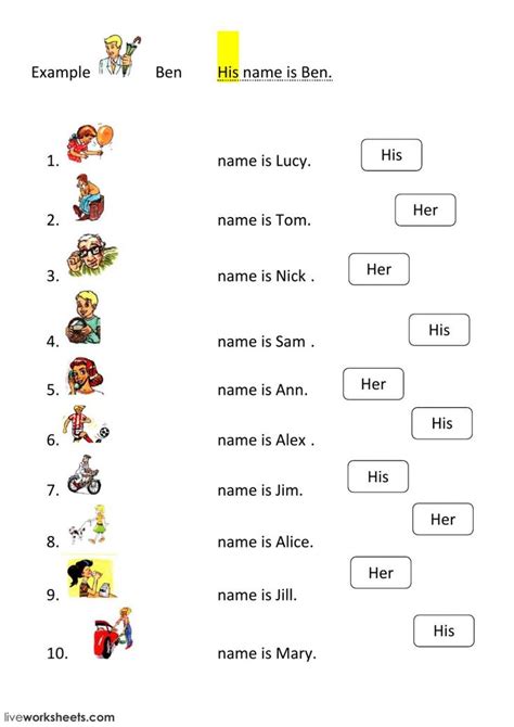 Possessive Nouns And Pronouns Worksheet