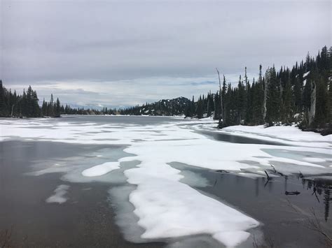 The Best Hotels Closest to Flathead National Forest in Montana for 2021