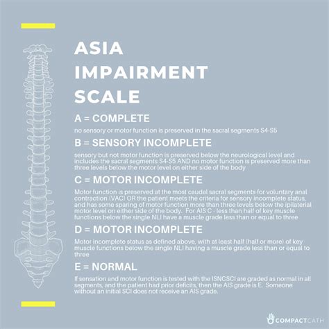 Asia Spine Scale