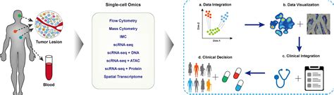 Frontiers Applications Of Single Cell Omics In Tumor Immunology Free