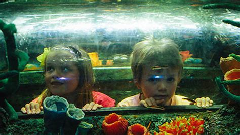 Sea Life Melbourne Aquarium Museums In Melbourne Melbourne