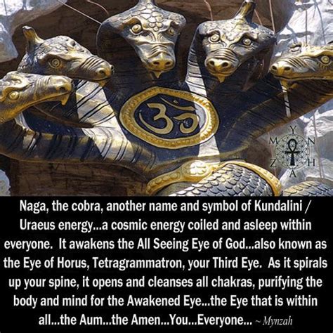 Naga The Cobra Another Name And Symbol Of Kundalini Uraeus Energya
