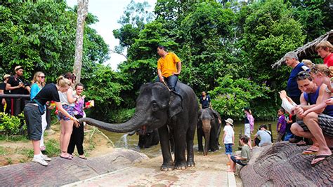 Extra clothings to change and towels itinerary: Kuala Gandah National Elephant Conservation Centre - Visit ...