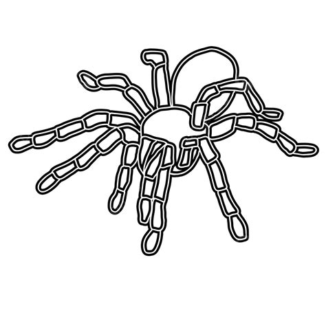 Black Widow Tattoo Displayed On A White Backdrop Vector Widow Symbol