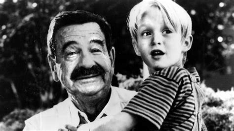 What Dennis The Menace Looks Like Now