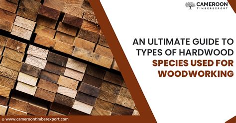 Hardwood Properties Of 10 Different Wood Species