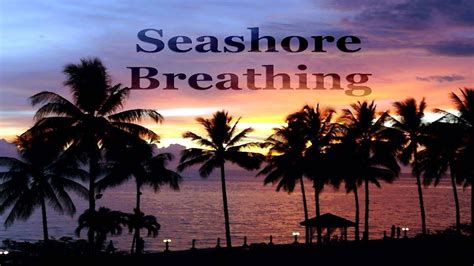 Various Artists Seashore Breathing Beach Housemusic Compilation