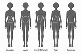 Body Shape Calculator - What Body Type Are You? - Inch Calculator