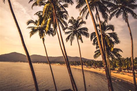 gay in goa a lgbtq travel guide our taste for life