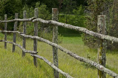 Tree Nature Forest Grass Branch Fence Wood Countryside Wall Country