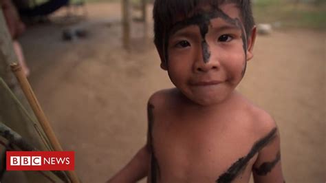 Amazon Rainforest Indigenous People In Fight For Survival Bbc News Amazon People Brazil