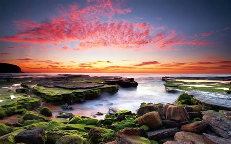 Download Sunset Moss Ocean Nature Seascape Hd Wallpaper