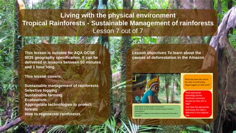 Aqa Geography Gcse The Living World Tropical Rainforests