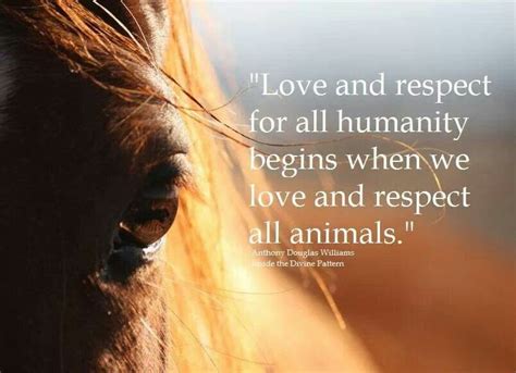 Related quotes animals civil disobedience integrity vegetarianism. Animal Compassion Amp Love Quotes. QuotesGram