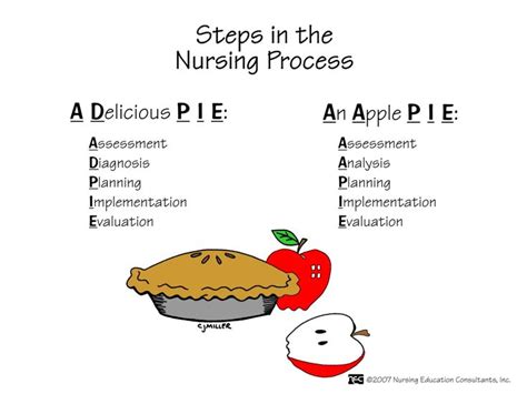 Steps In The Nursing Process Nursing Process Pinterest