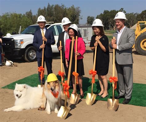 Lesė animal charity organization has been founded in 2007 in lithuania. Kim: Modern Animal Shelter is Milestone Moment for Orange ...