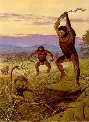Top i love costumes for reyns' novel, but can i for john cena? What Did Early Humans Eat?