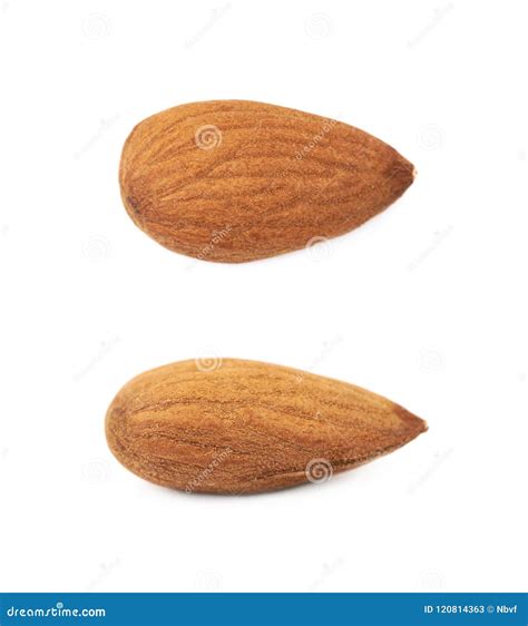 Single Almond Isolated Stock Image Image Of Pile Almond 120814363