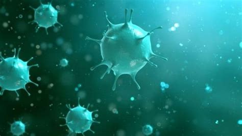 Virus Corona Perkembangan Dari Penyakit Pernapasan Ke Serangan