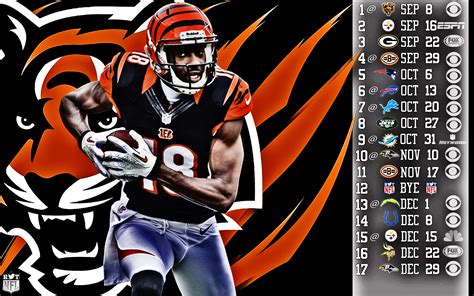 42 Cincinnati Bengals Wallpaper For Iphone Wallpapersafari