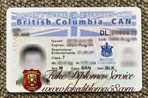 Obtain A High Quality British Columbia Driver License With Scan Information