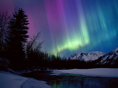 The Northern Lights Have Got To Be The Most Beautiful Part