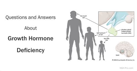 Growth Hormone Deficiency In Children And Adults