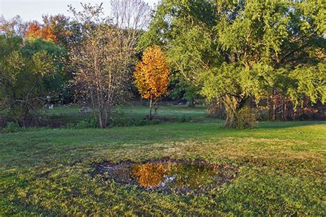 Get directions, reviews and information for adam's lawn care & pest control of oklahoma in shawnee, ok. Lawn Care & Pest Control in New Jersey | Service Areas ...