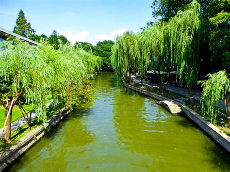 Willows By West Lake Cultural Landscape Of Hangzhou Stock Photo Image