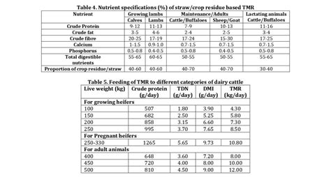 Feeding Total Mixed Ration Tmr To High Yielding Dairy Cattle