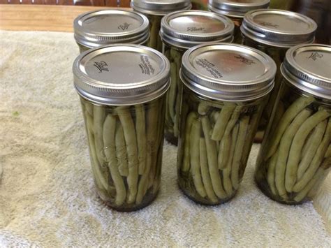 Canning Dilly Beans Recipe