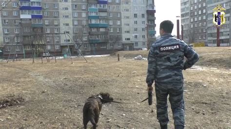 02 Хроники полиции г Комсомольска на Амуре выпуск 34 Youtube