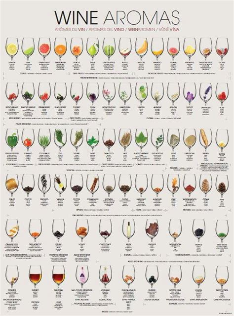 Wine Drinks Wine Facts Wine Chart