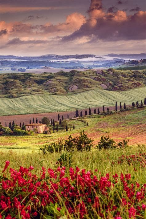 Tuscany Dreams Crete Senesi In Spring Places To Visit Places To