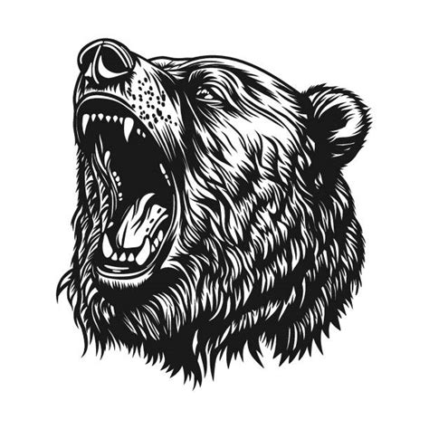 60 Drawing Of Grizzly Bear Growl Stock Illustrations Royalty Free