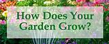 What To Grow In Your Garden Photos