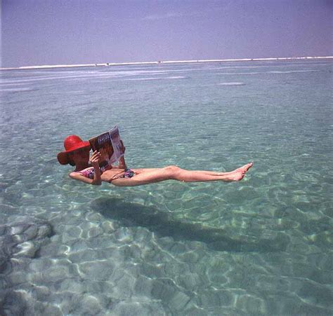 O Mar Morto Igui Ecologia