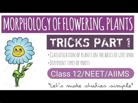 Morphology Of Flowering Plants Tricks Part Class Biology Neet Youtube