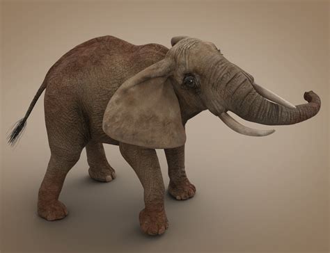 African Elephant Updated Daz 3d