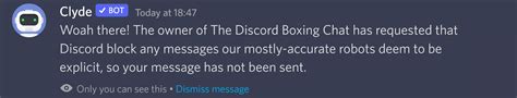 People In My Server Keep Getting This Message For Non Sexual Material